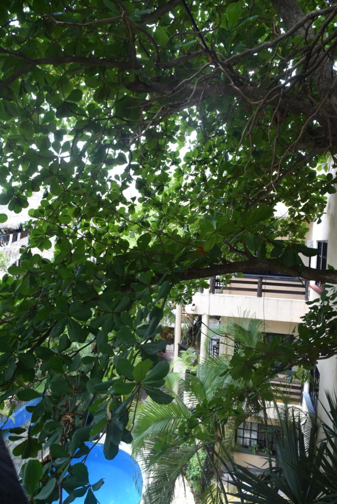 Hotel Casa El Moro Puerto Morelos Eksteriør bilde